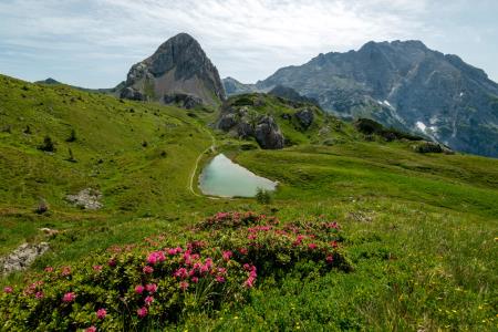 Monte navagiust - Oton Naglost 6